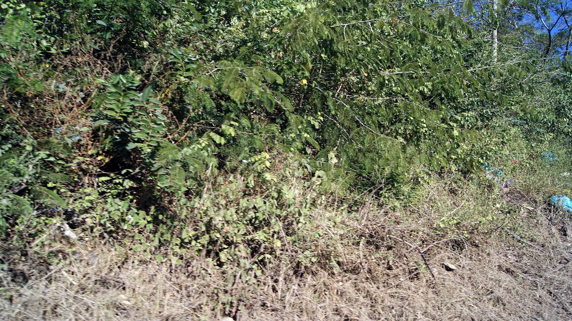 Front View of property in Reservoir Hills KZN