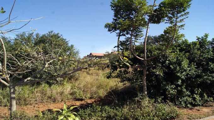 Land for Sale For Sale in La Lucia - Home Sell - MR215797