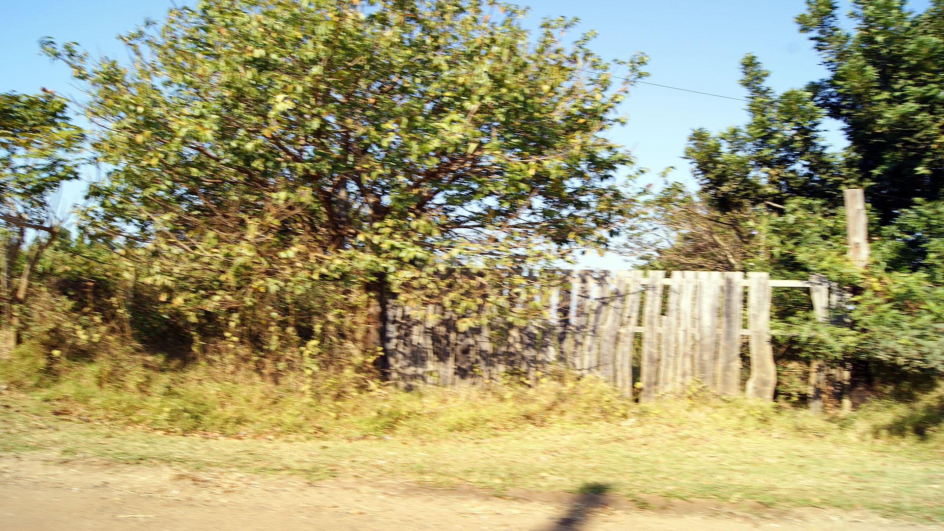 Front View of property in Port Edward