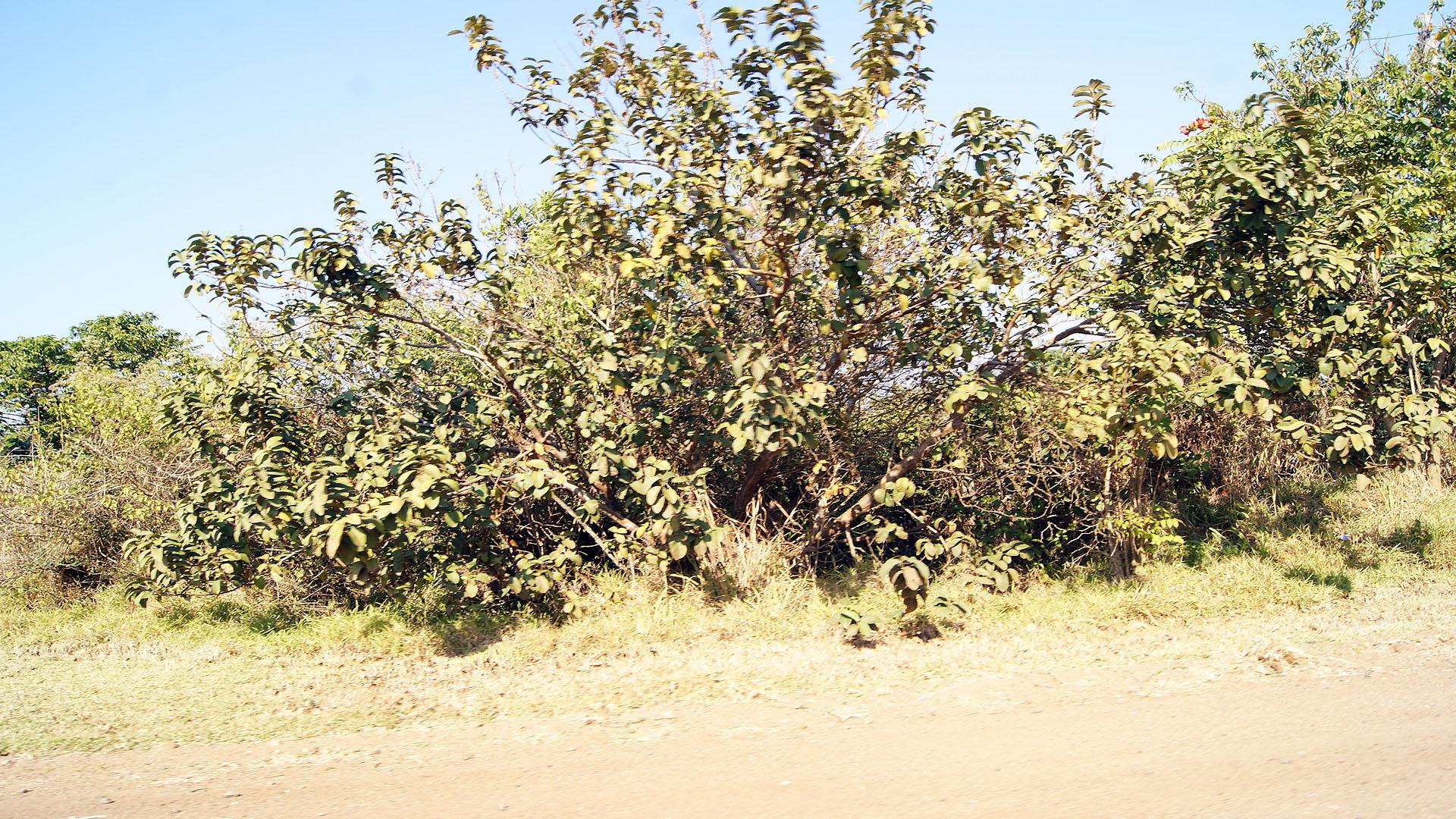 Front View of property in Port Edward