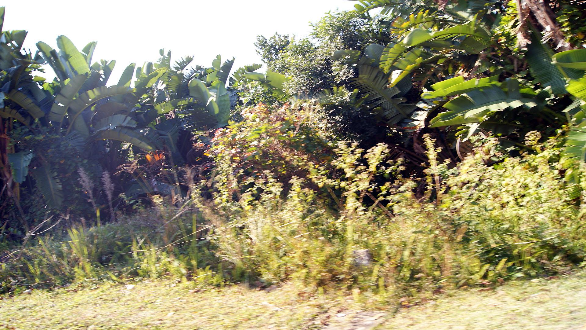 Front View of property in Leisure Bay