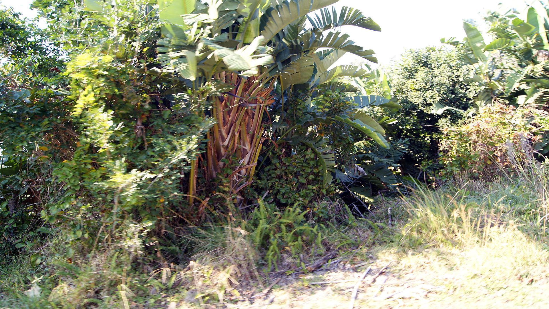 Front View of property in Leisure Bay