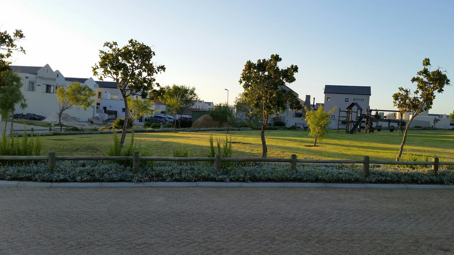 Backyard of property in Croydon- CPT