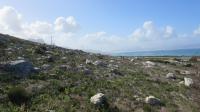 Front View of property in Bettys Bay