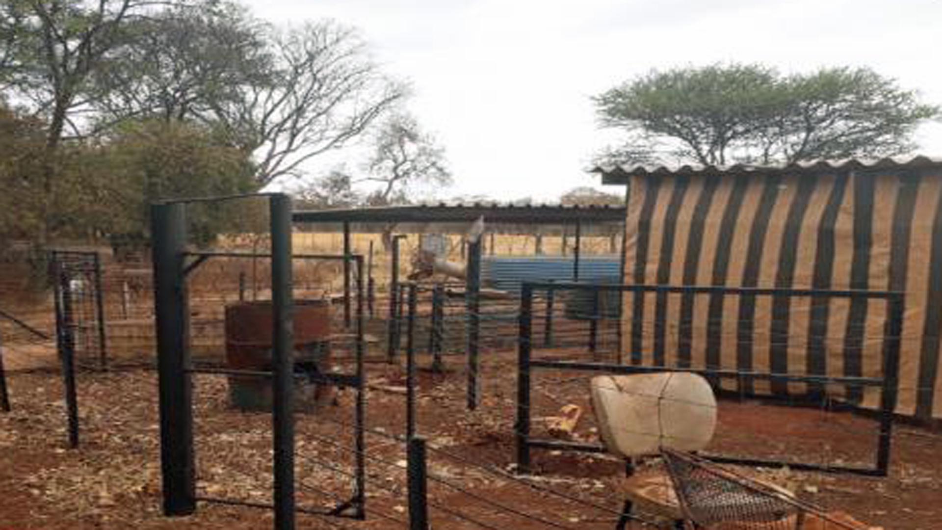 Backyard of property in Mookgopong (Naboomspruit)