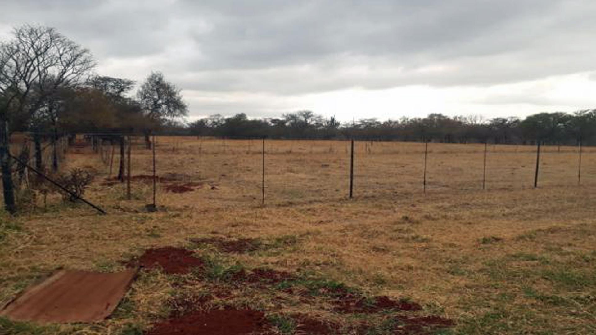 Backyard of property in Mookgopong (Naboomspruit)