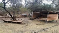 Backyard of property in Mookgopong (Naboomspruit)