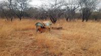 Backyard of property in Mookgopong (Naboomspruit)