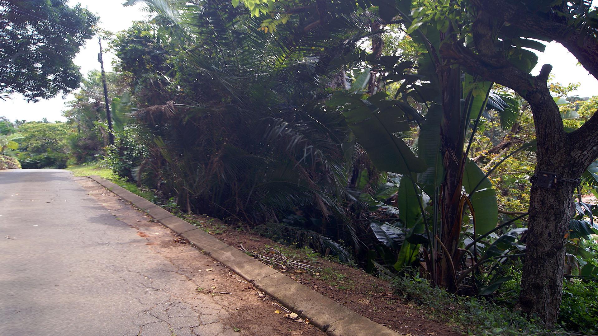 Front View of property in Marina Beach