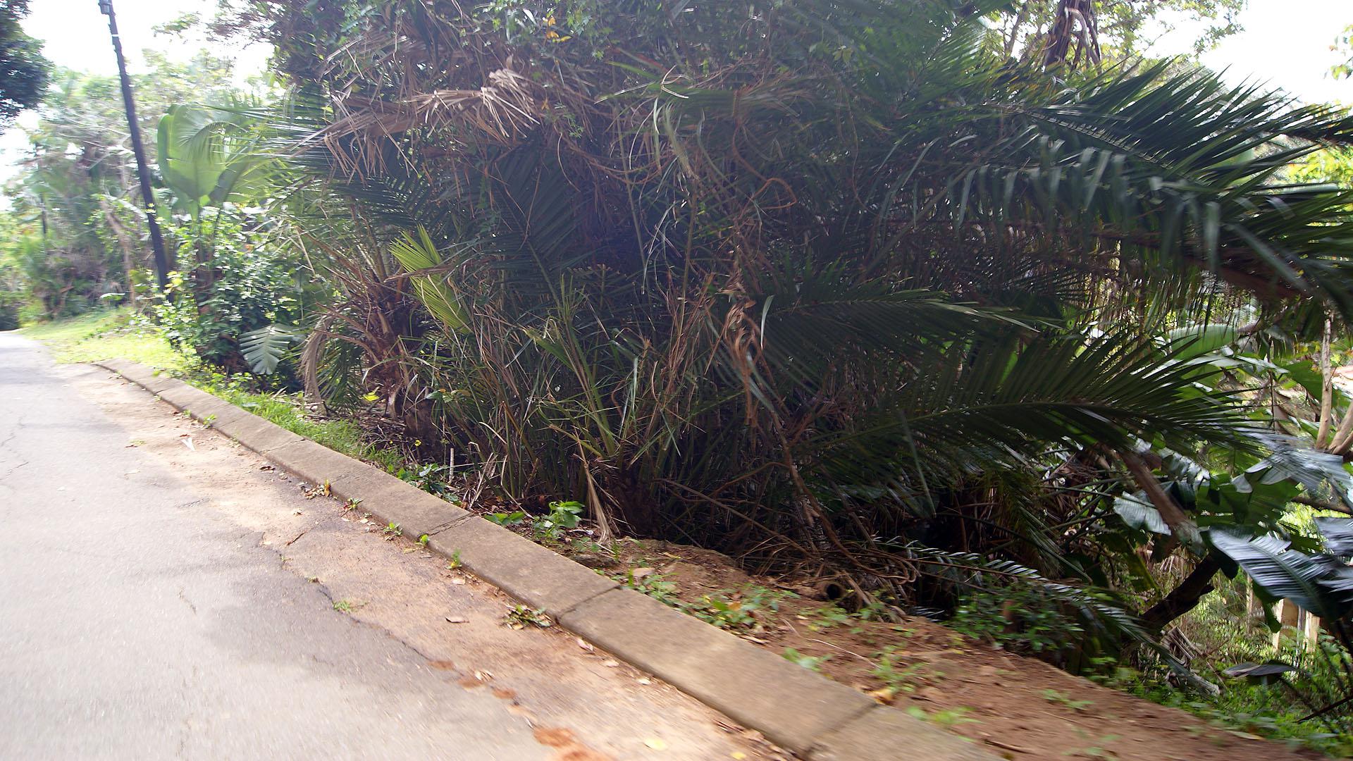 Front View of property in Marina Beach