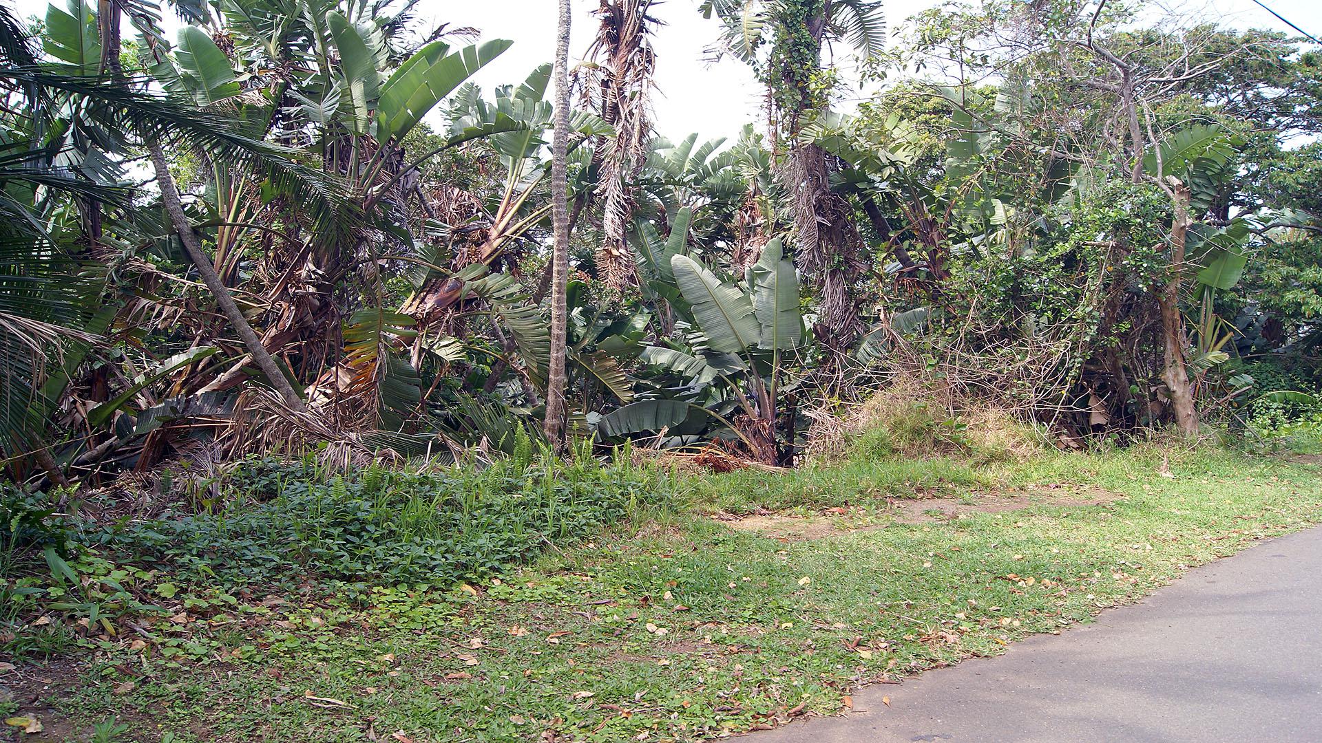 Front View of property in Marina Beach