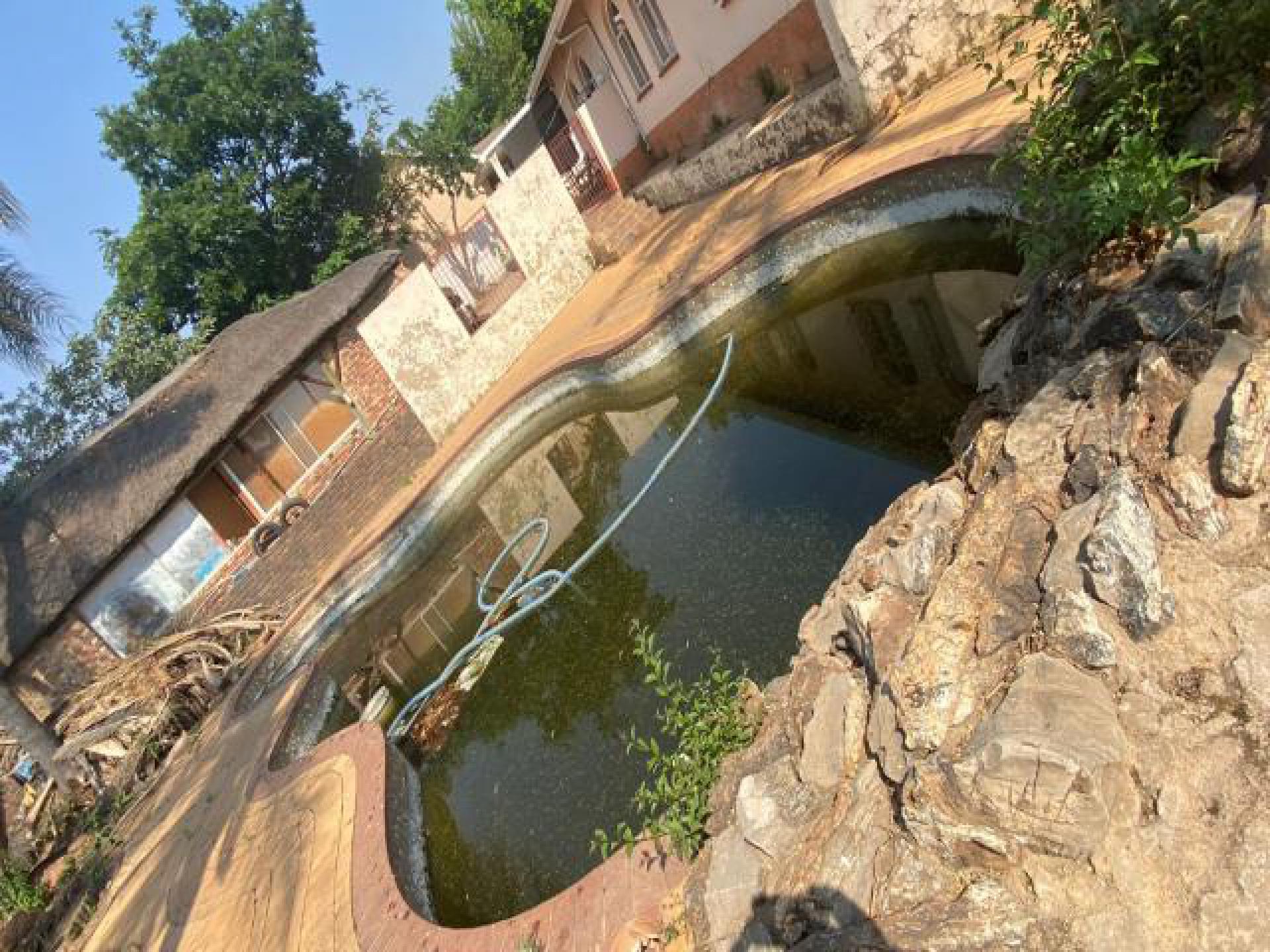 Backyard of property in Birchleigh North