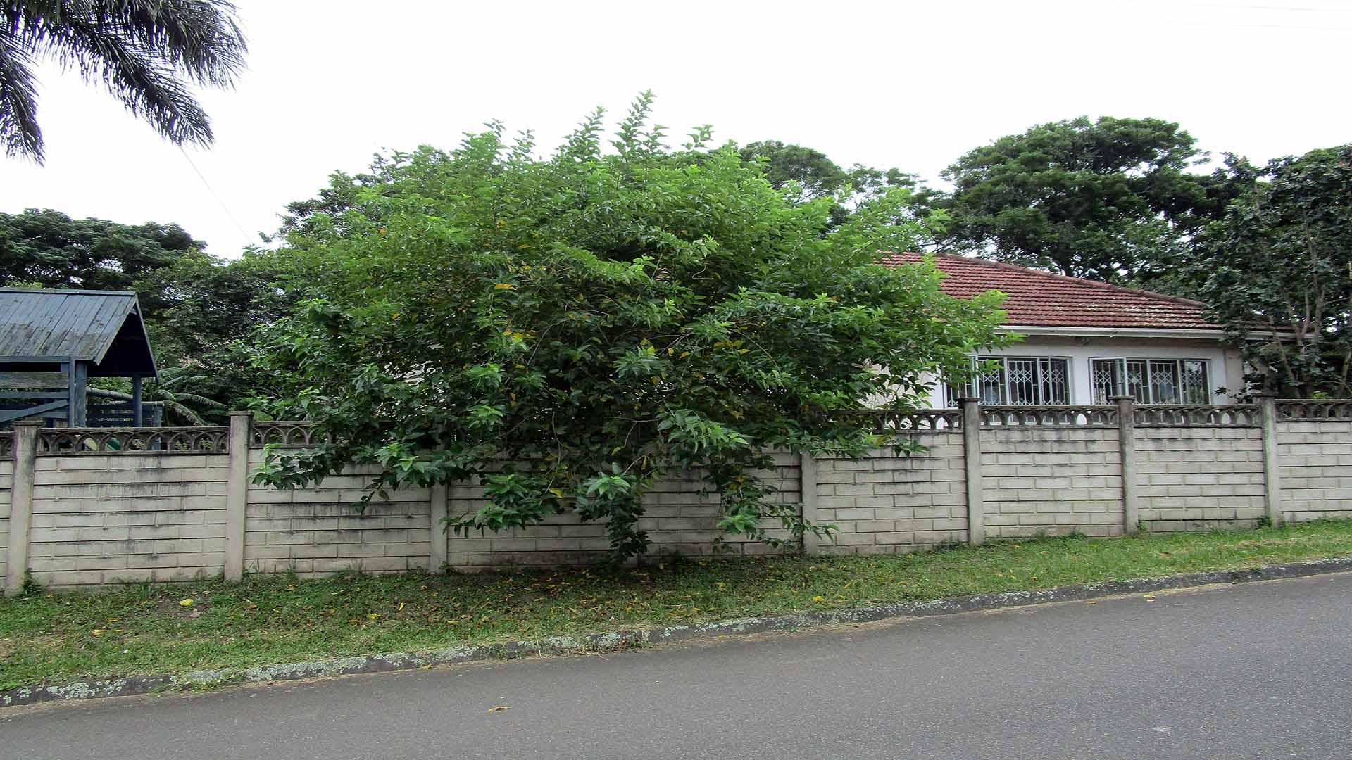 Front View of property in Bellair - DBN