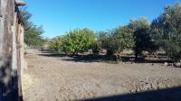 Backyard of property in Merweville