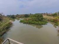  of property in Shelly Beach