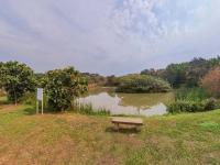  of property in Shelly Beach