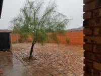Backyard of property in Marblehall
