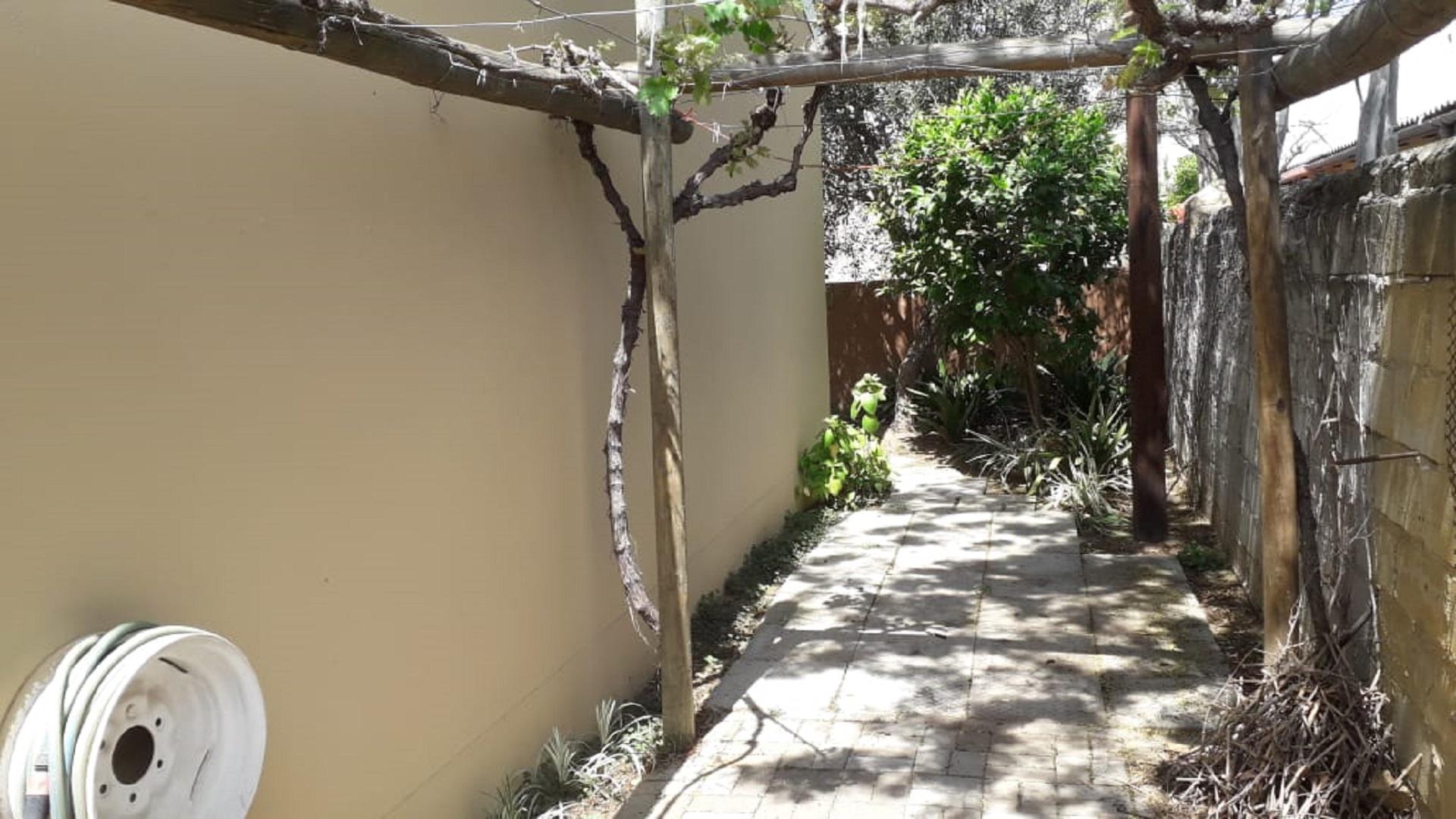 Backyard of property in Citrusdal