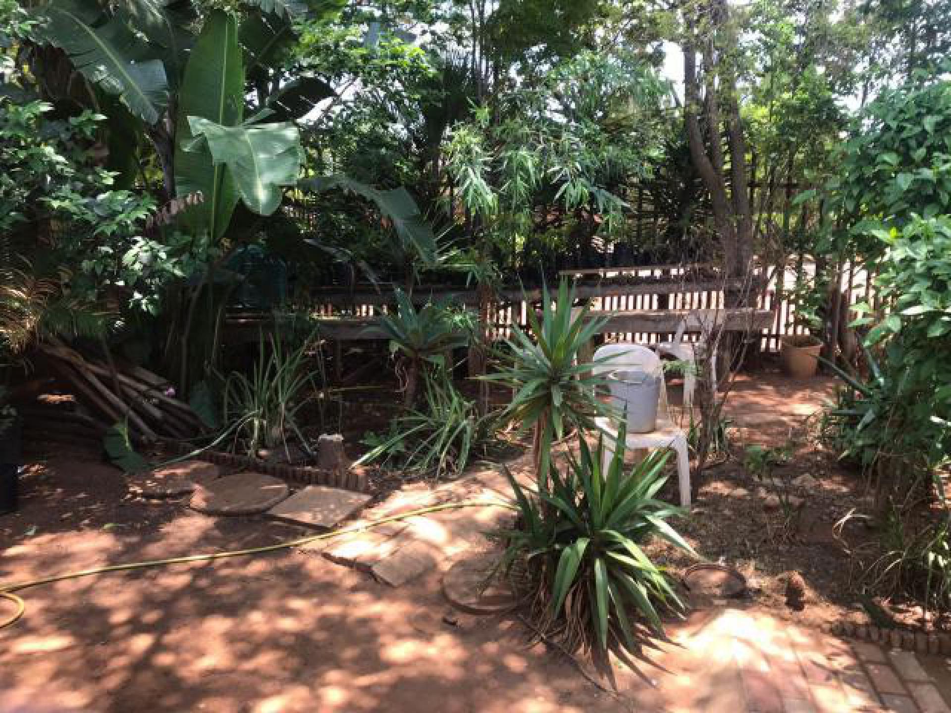 Garden of property in Flora Park 