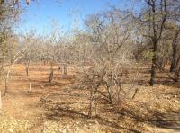 Front View of property in Marloth Park