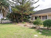 Backyard of property in Bonnievale