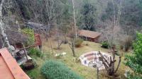 Backyard of property in Hogsback