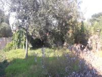 Backyard of property in Eloff