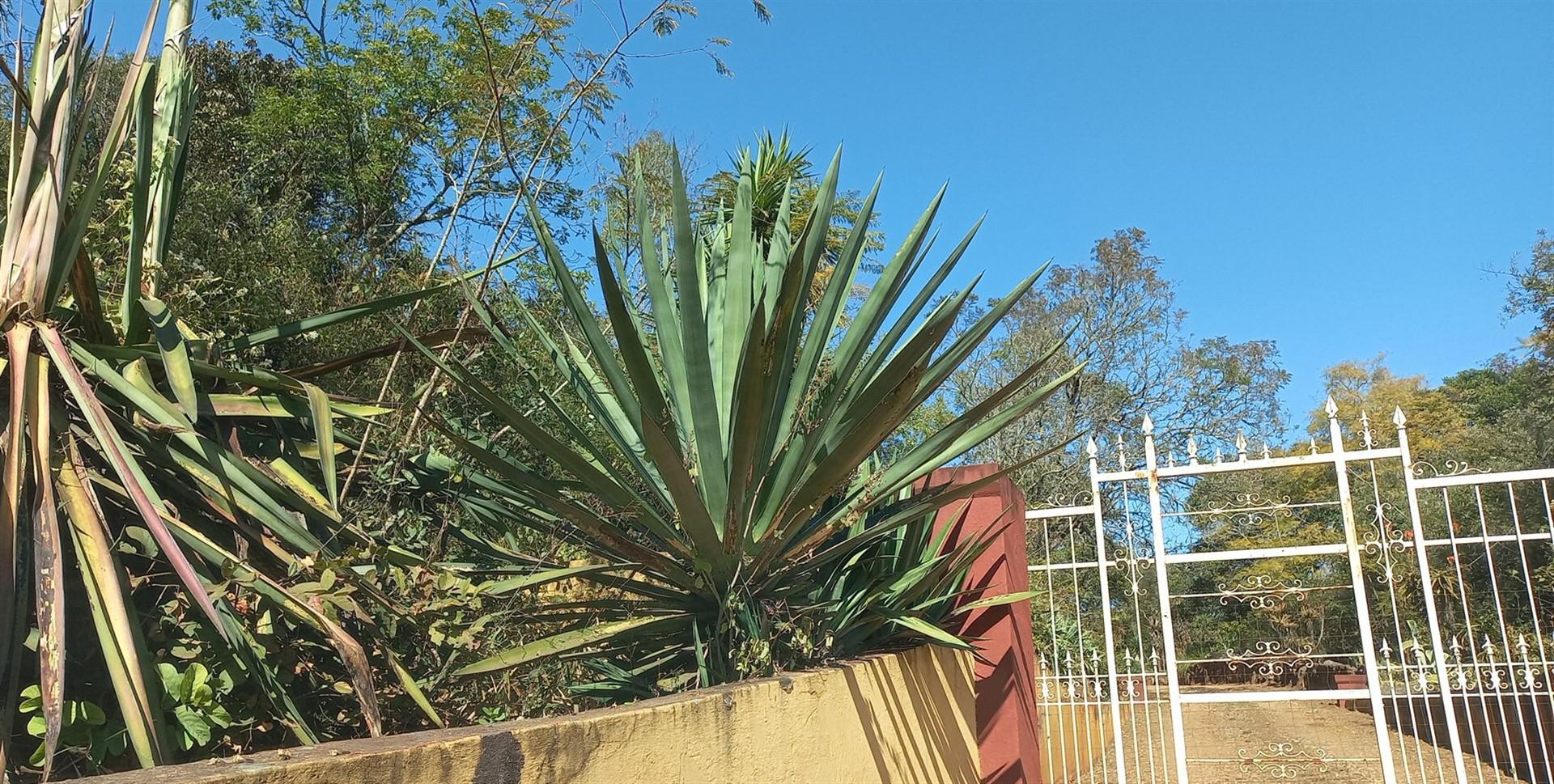 Front View of property in Makhado (Louis Trichard)