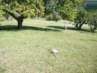 Land for Sale for sale in Sedgefield