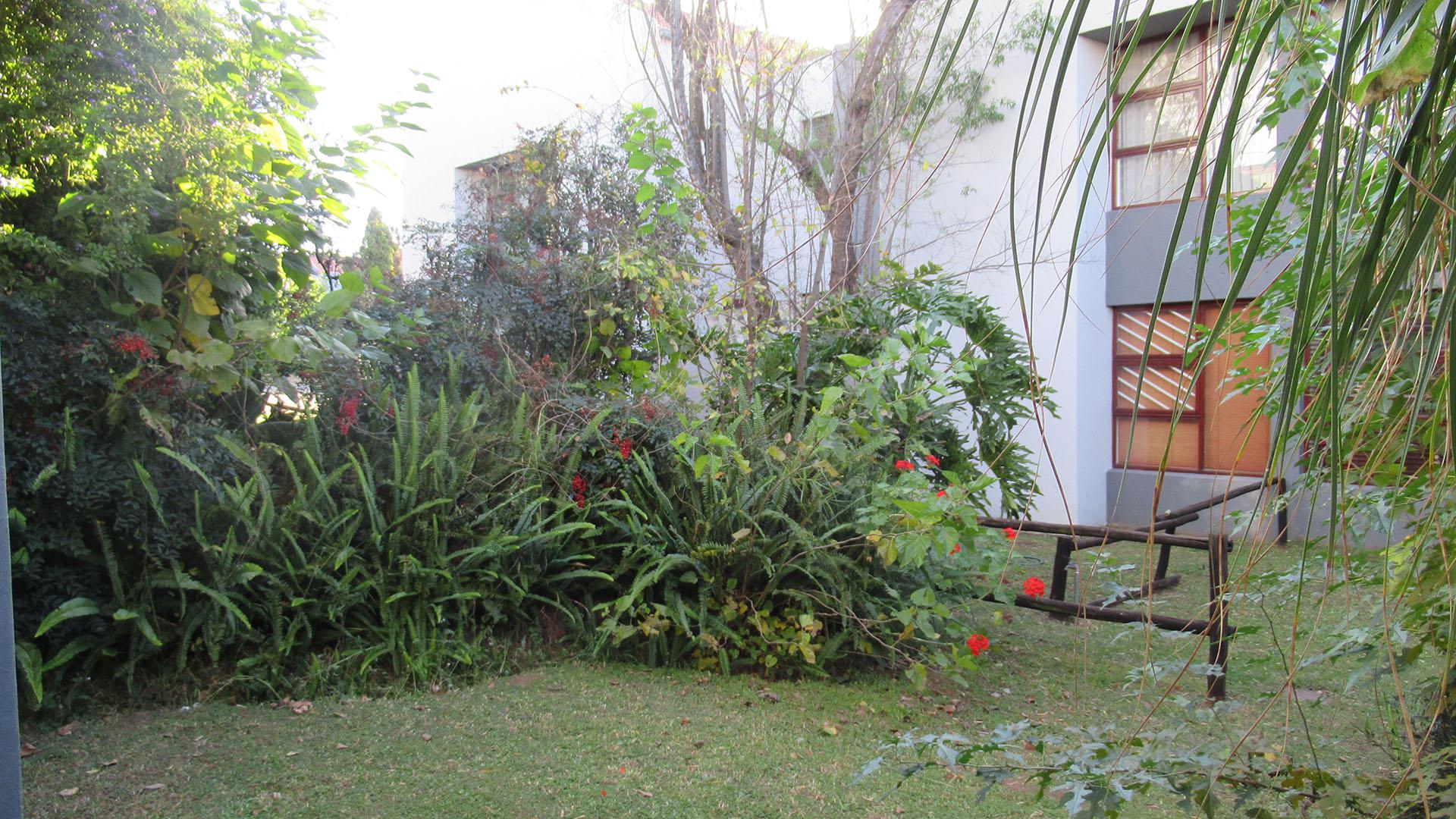 Backyard of property in Morningside