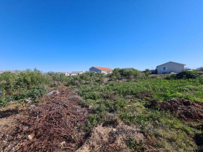 Standard Bank EasySell Land for Sale in Jeffrey's Bay MR26