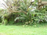 Land for Sale for sale in Hibberdene