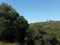  of property in Uitenhage Rural