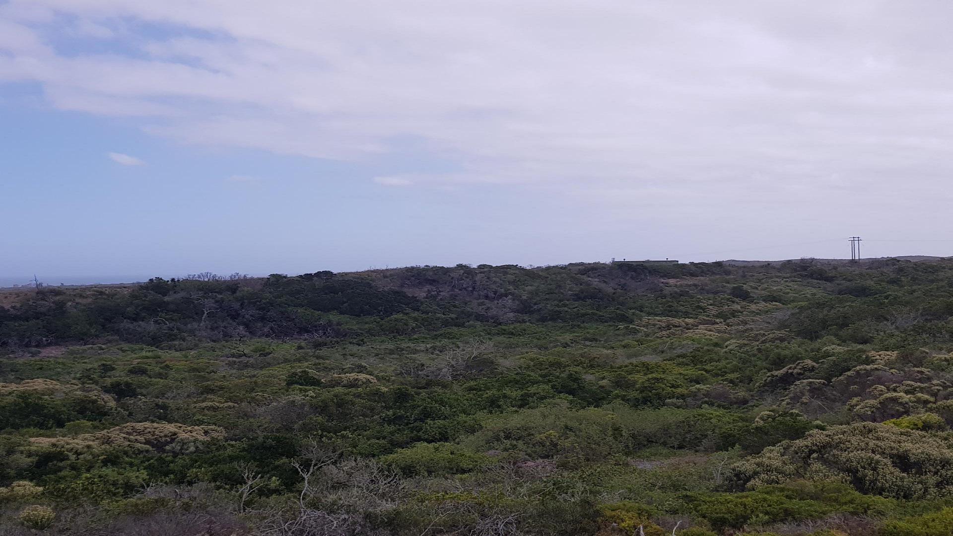 Front View of property in St Francis Bay