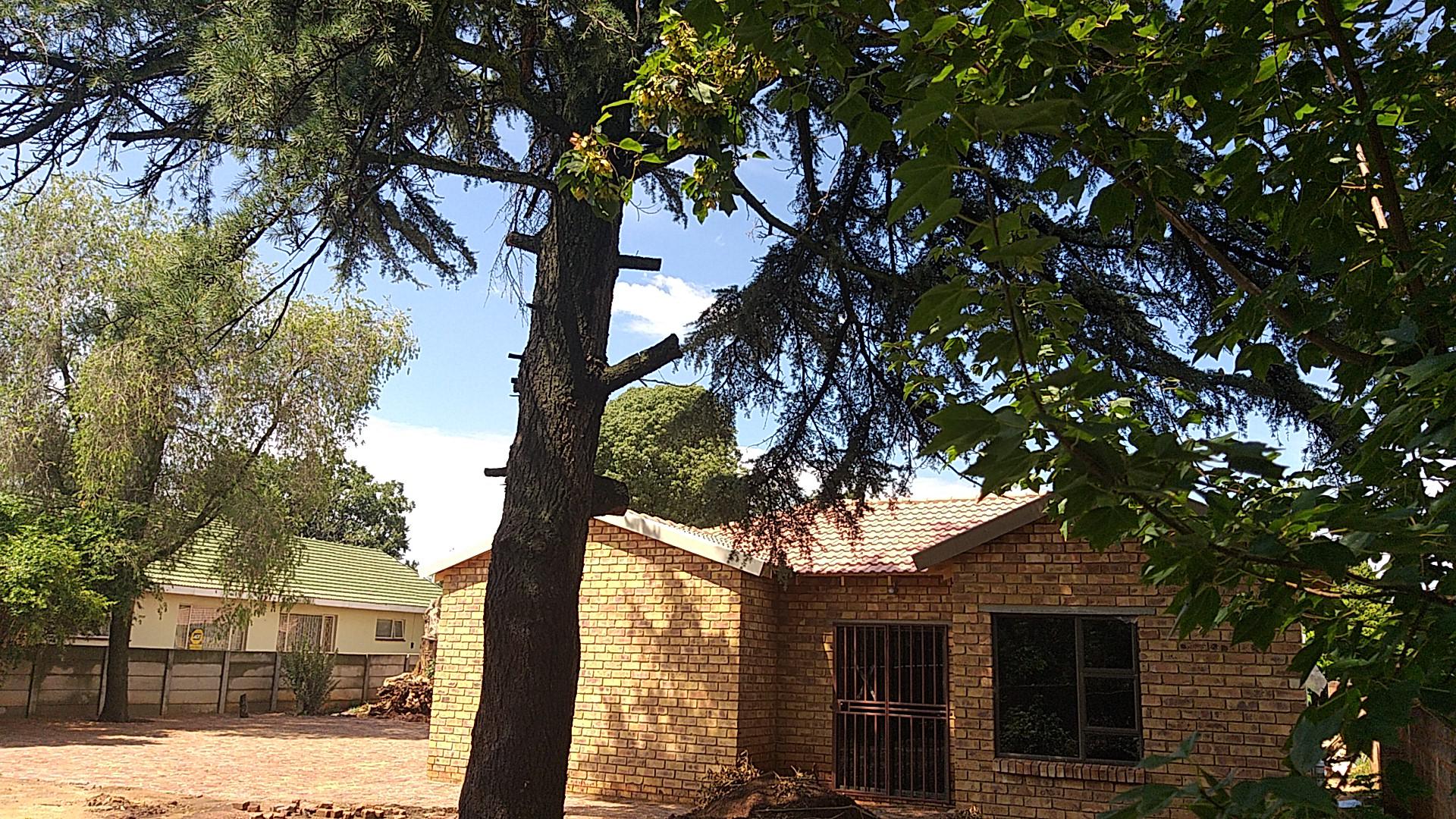 Front View of property in Selection park