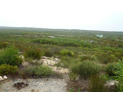 Front View of property in Struis Bay