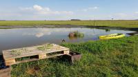 Backyard of property in Sundra