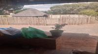 Backyard of property in Winburg
