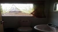 Bathroom 1 - 4 square meters of property in Clarina
