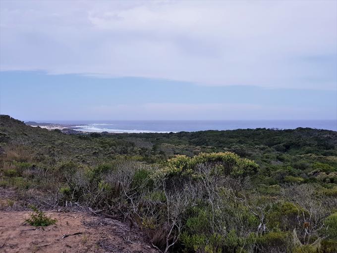 Land for Sale For Sale in St Francis Bay - Private Sale - MR292744