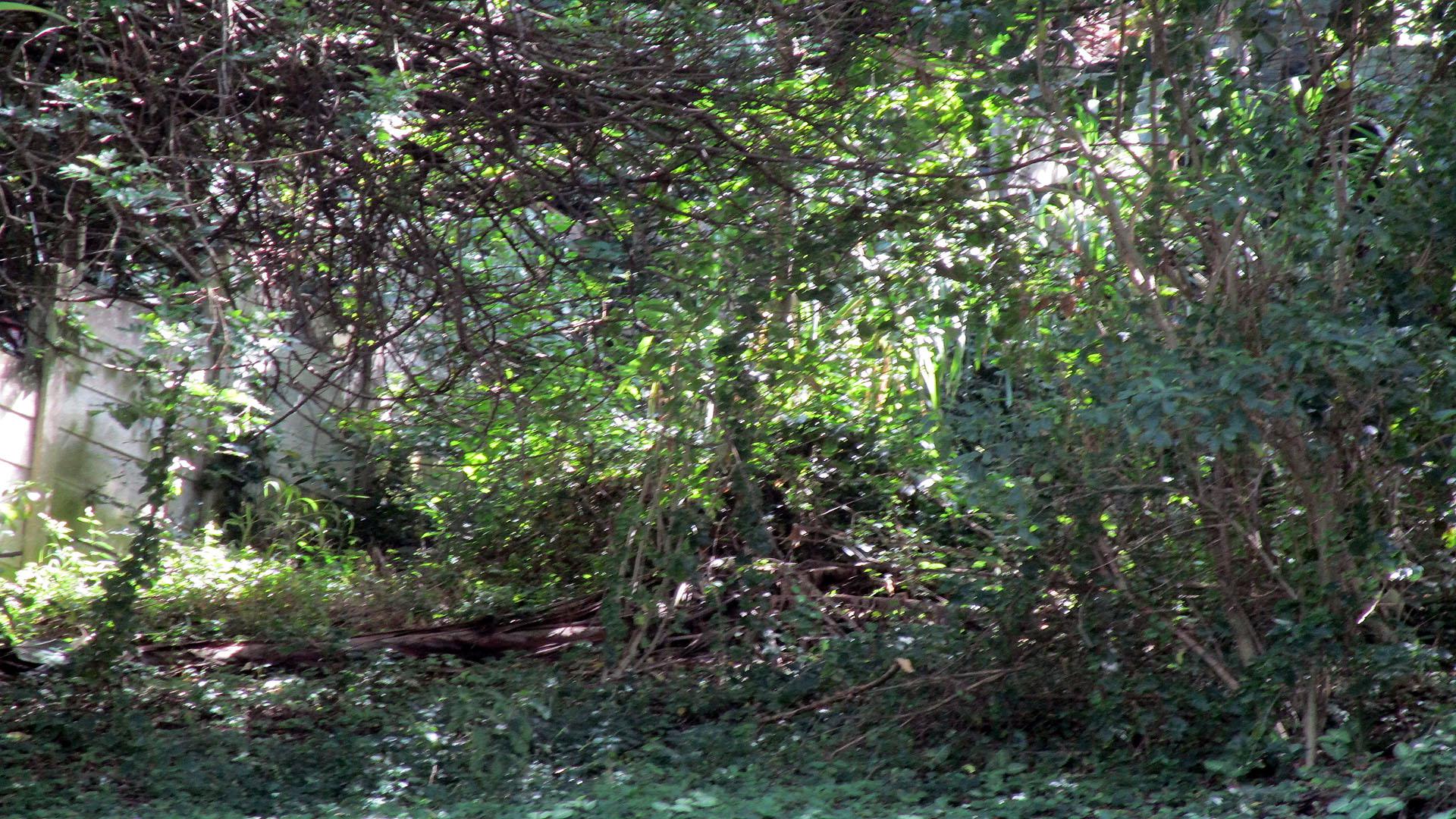 Front View of property in Oslo Beach