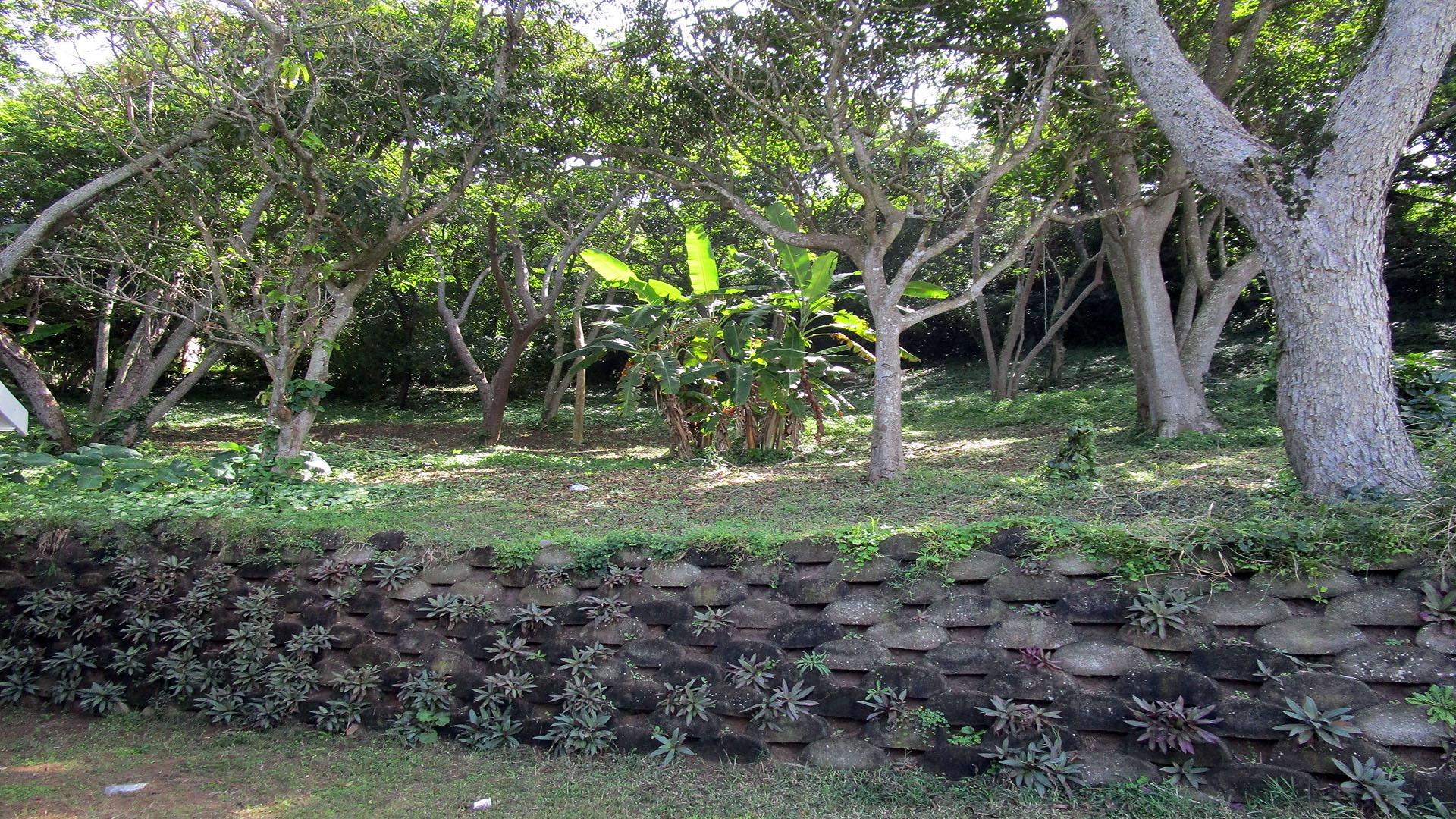Front View of property in Oslo Beach