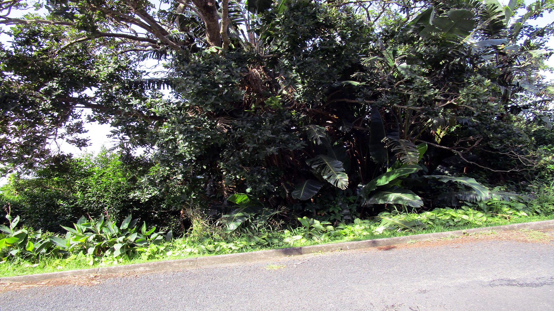 Front View of property in Oslo Beach