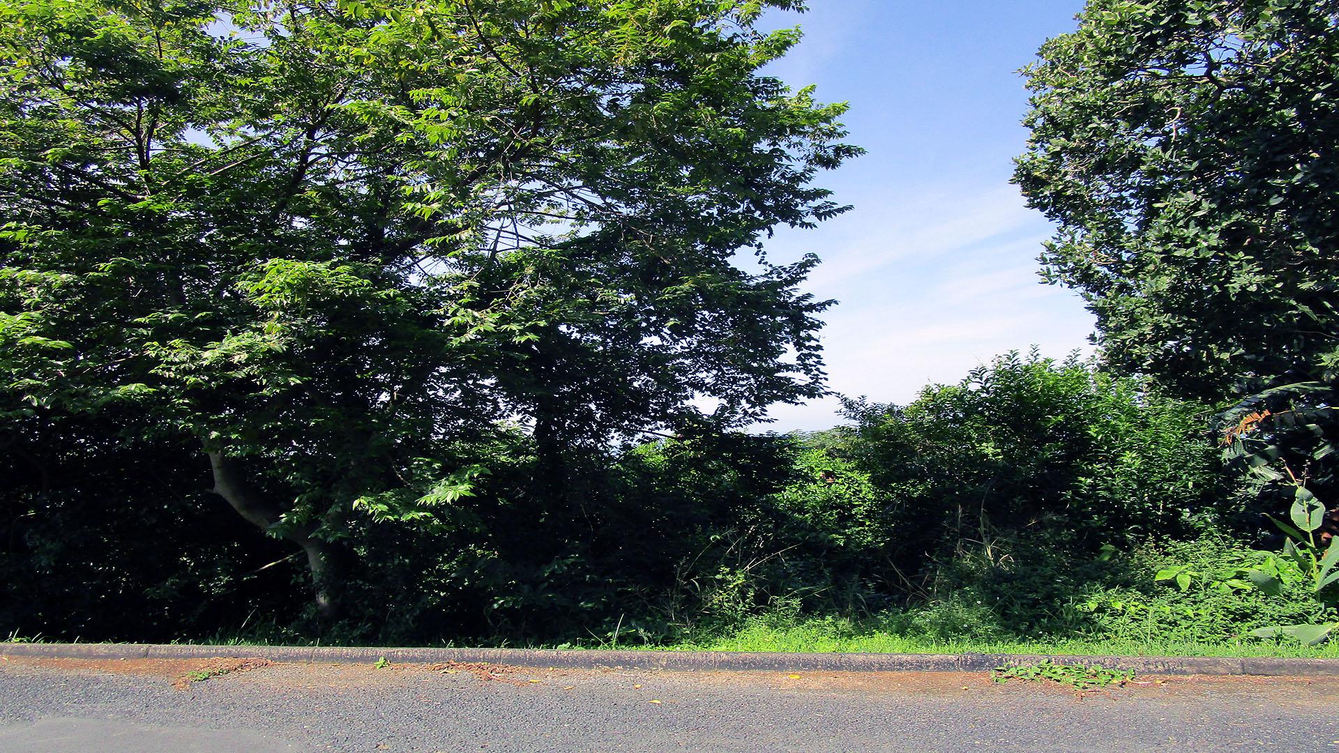 Front View of property in Oslo Beach