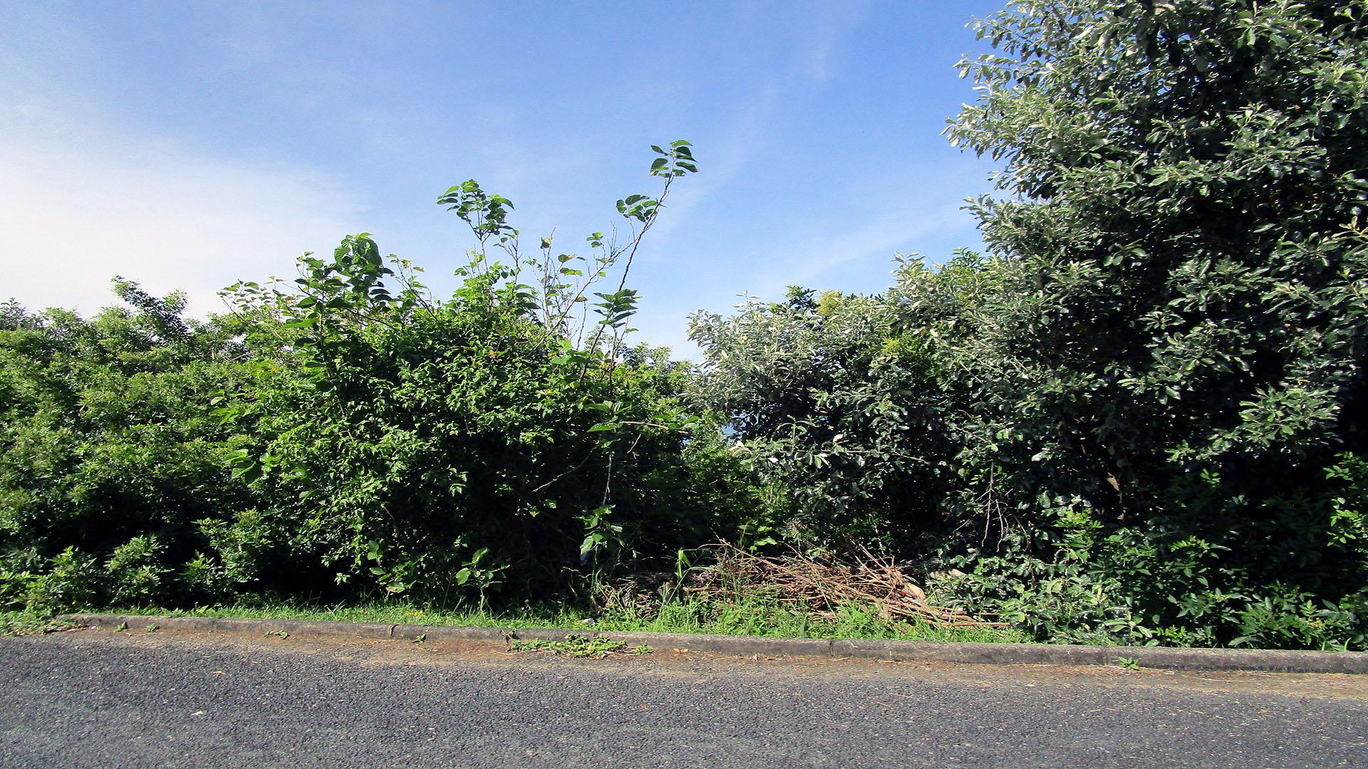 Front View of property in Oslo Beach