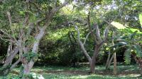 Land for Sale for sale in Oslo Beach