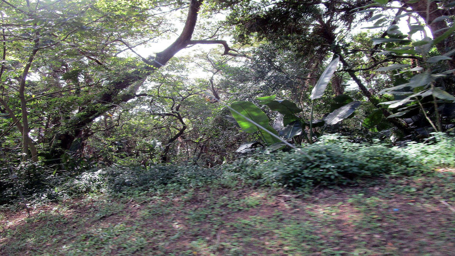 Front View of property in Hibberdene