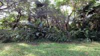 Land for Sale for sale in Hibberdene