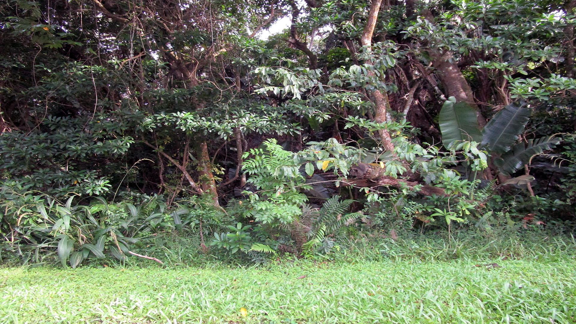 Front View of property in Leisure Bay