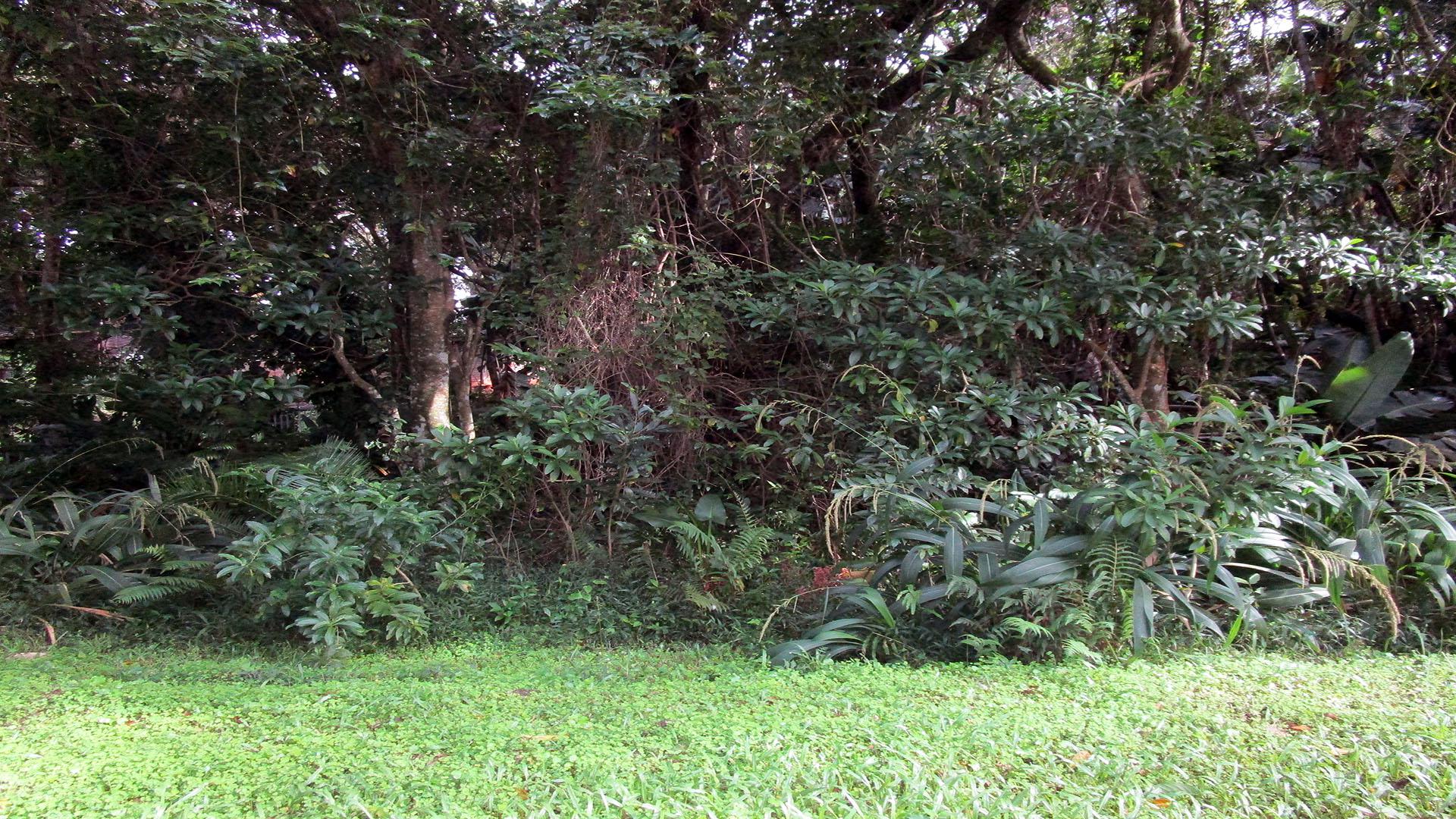 Front View of property in Leisure Bay